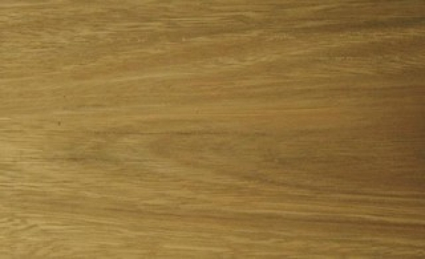 HM Walk Spotted Gum